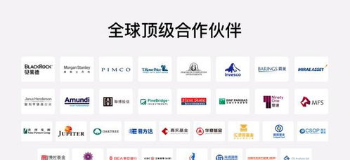 財富管理品牌全新升級 富途大象財富布局全球資產配置